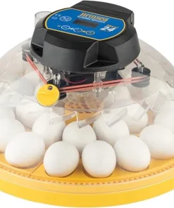 Buy Brinsea Maxi 24 Advance Egg Incubator with Automatic Egg Turning and Temperature Control for Hatching 24 Chicken, Duck, Parrots, or Other Eggs,- Optimal Flexibility with Mix & Match Sizes Online