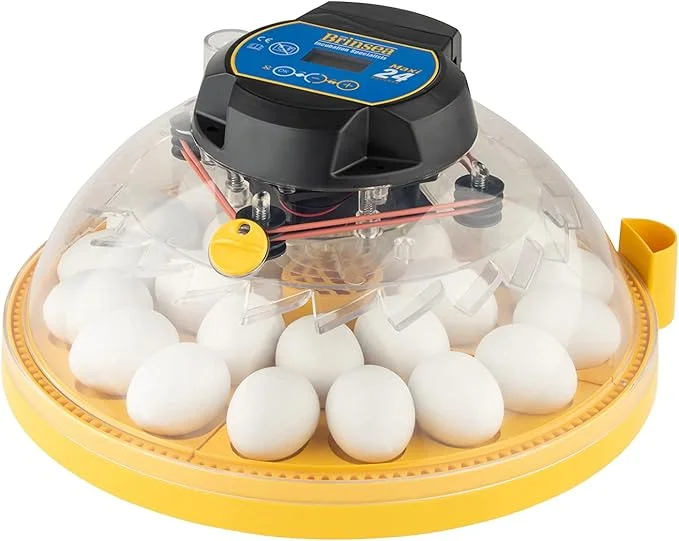 Buy Brinsea Maxi 24 Advance Egg Incubator with Automatic Egg Turning and Temperature Control for Hatching 24 Chicken, Duck, Parrots, or Other Eggs,- Optimal Flexibility with Mix & Match Sizes Online