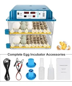 120 Egg Incubators for Hatching Eggs Automatic Temperature Control Chicken Quail Eggs Incubator Humidity Monitoring for Farm Egg Incubation For sale