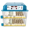 120 Egg Incubators for Hatching Eggs Automatic Temperature Control Chicken Quail Eggs Incubator Humidity Monitoring for Farm Egg Incubation For Sale