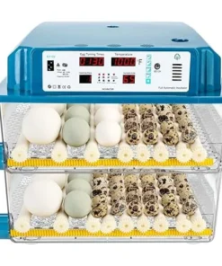 120 Egg Incubators for Hatching Eggs Automatic Temperature Control Chicken Quail Eggs Incubator Humidity Monitoring for Farm Egg Incubation For Sale