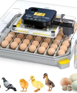 48 Egg Incubator for Hatching with Automatic Egg Turning and Humidity Control, Egg Candler, Poultry Egg Incubator for Chicken, Ducks, Goose, Pigeon, Quail, ideal for Farm, Classroom, Home For Sale