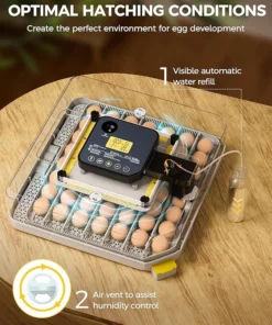56 Egg Incubator for Hatching Eggs, Egg Incubators with Automatic Egg Turning, Temperature and Humidity Control, Egg Candler, Automatic Water Bottle Refill, Incubator for Chicken, Ducks, Goose For Sale
