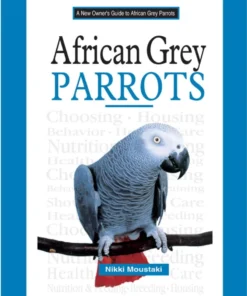 Buy African Grey Book Online