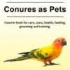 Conure Parrot Books For Sale