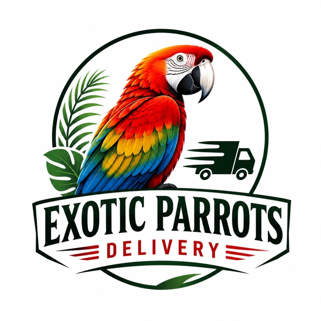 Buy Exotic Parrots