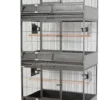 Buy Grande Parrot Cage Triple Online